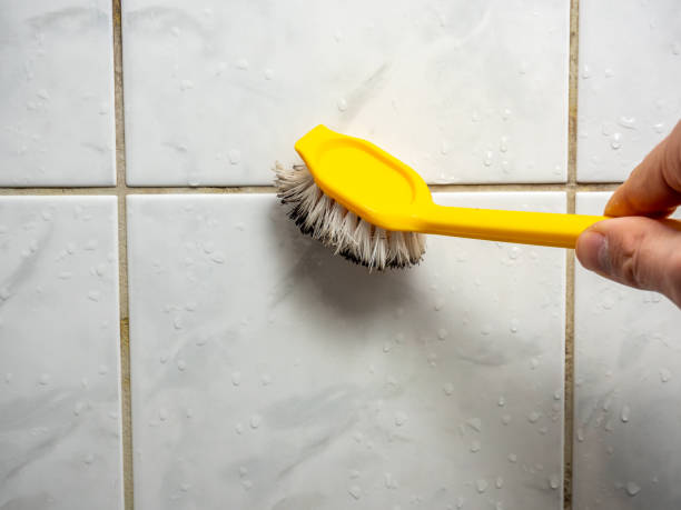 Best Mold Testing  in Oak Valley, NJ