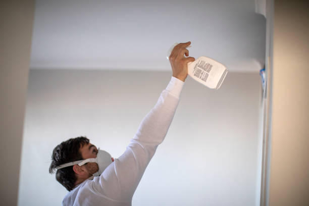 Best Same-Day Mold Removal  in Oak Valley, NJ