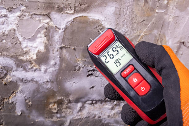Crawl Space Mold Removal in Oak Valley, NJ
