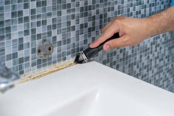 Best Professional Mold Removal  in Oak Valley, NJ
