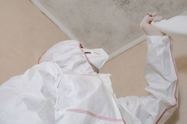 Best Commercial Mold Removal  in Oak Valley, NJ
