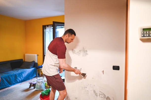 Best Water Damage Restoration  in Oak Valley, NJ